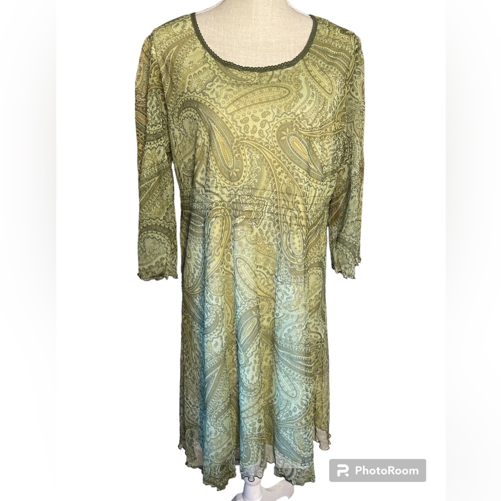 Expressions Green Mesh Paisley MIDI Dress